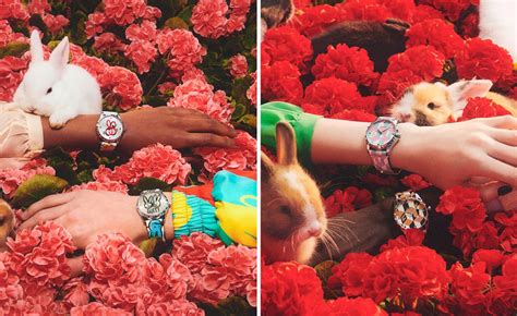 gucci rabbit watch